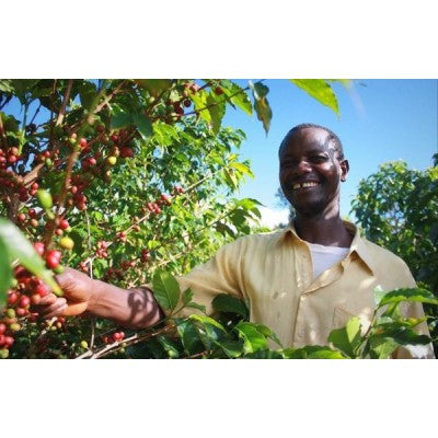 Columbus BURUNDI KIBINGO 0.200 kg